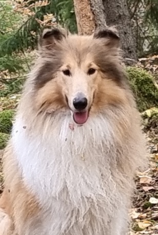 Coco%20metsälenkin%20jälkeen