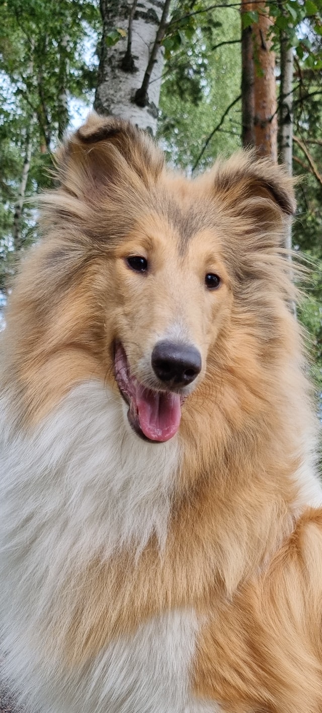 Coco%20puolivuotiaana