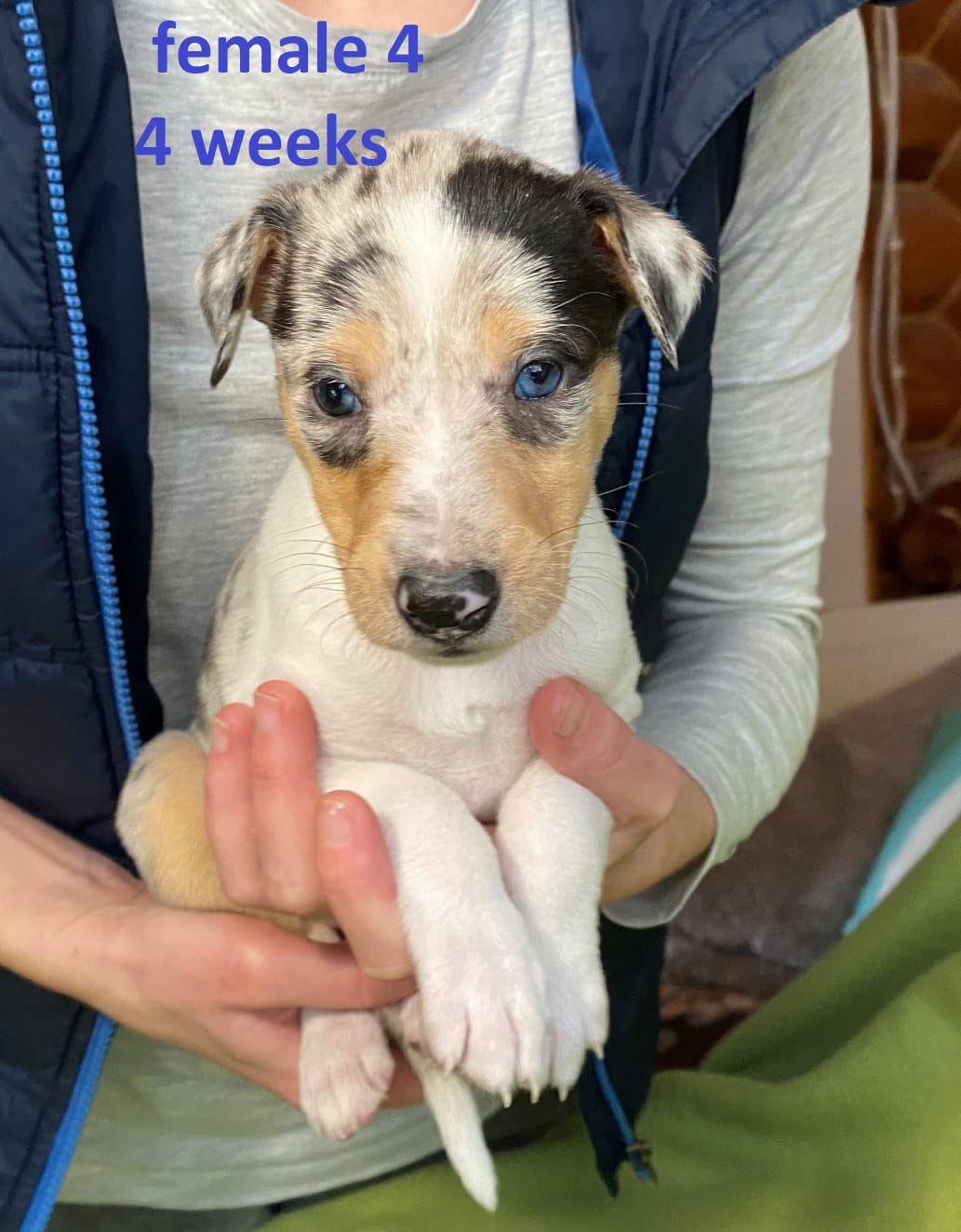 Lulu%204vk%20ja%20olin%20aivan%20myyty