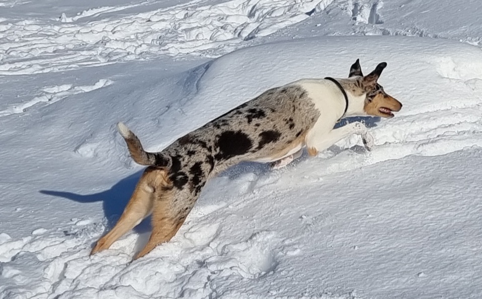 Lulu%20handessa%20 22C