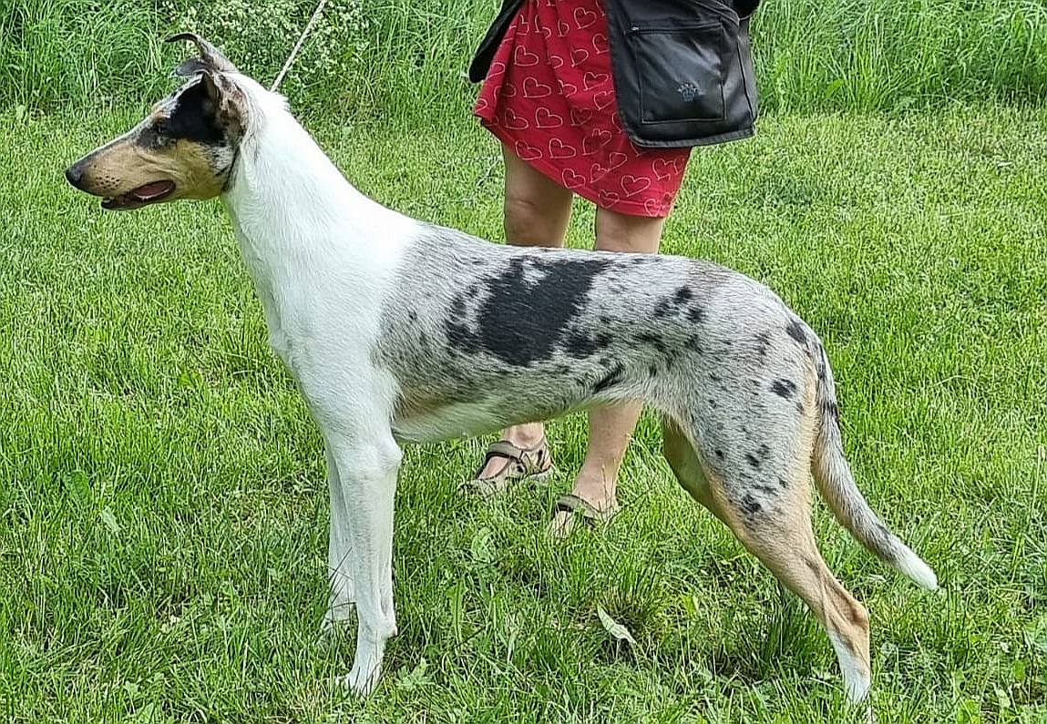 Lulu%20vuoden%20ikäisenä