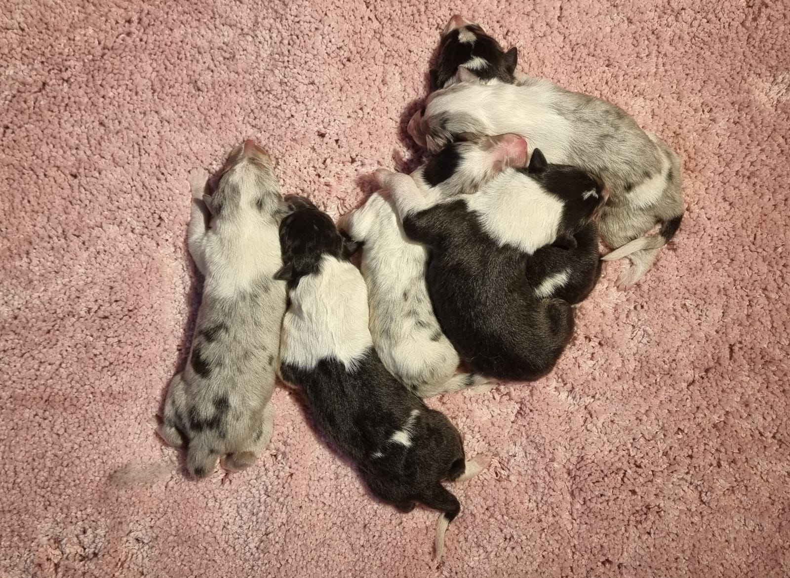 PHOTO 2025 12 09 12 28 53