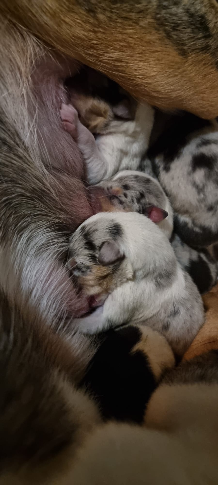 PHOTO 2025 12 13 04 32 44