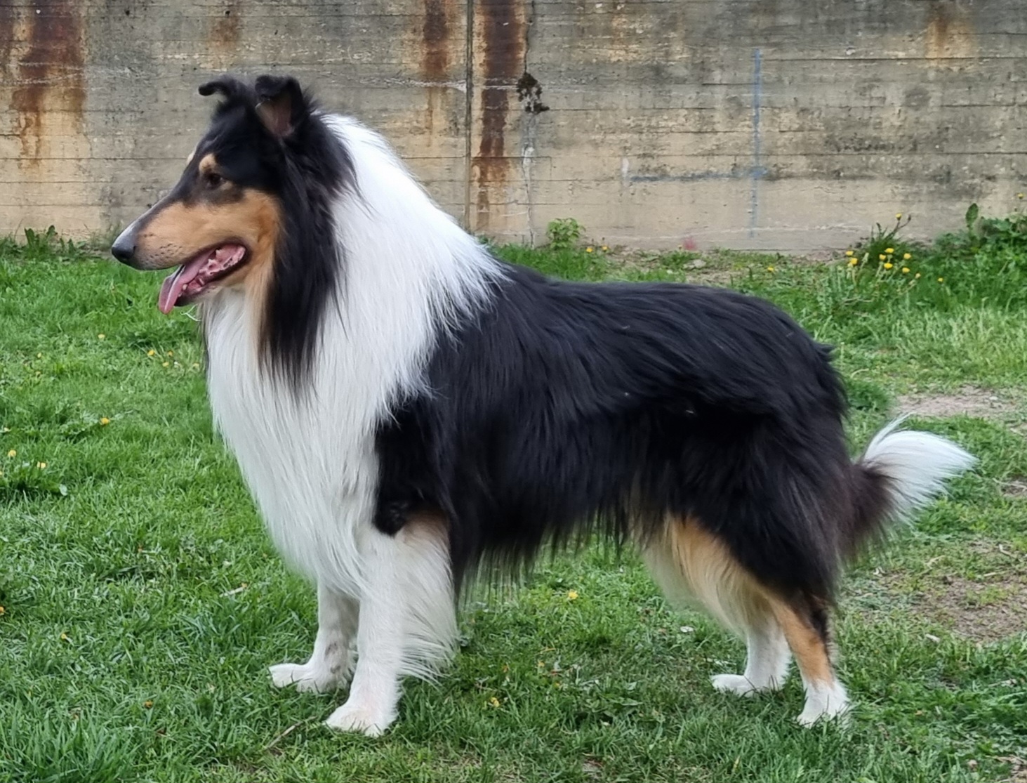 PHOTO 2026 02 23 12 56 41