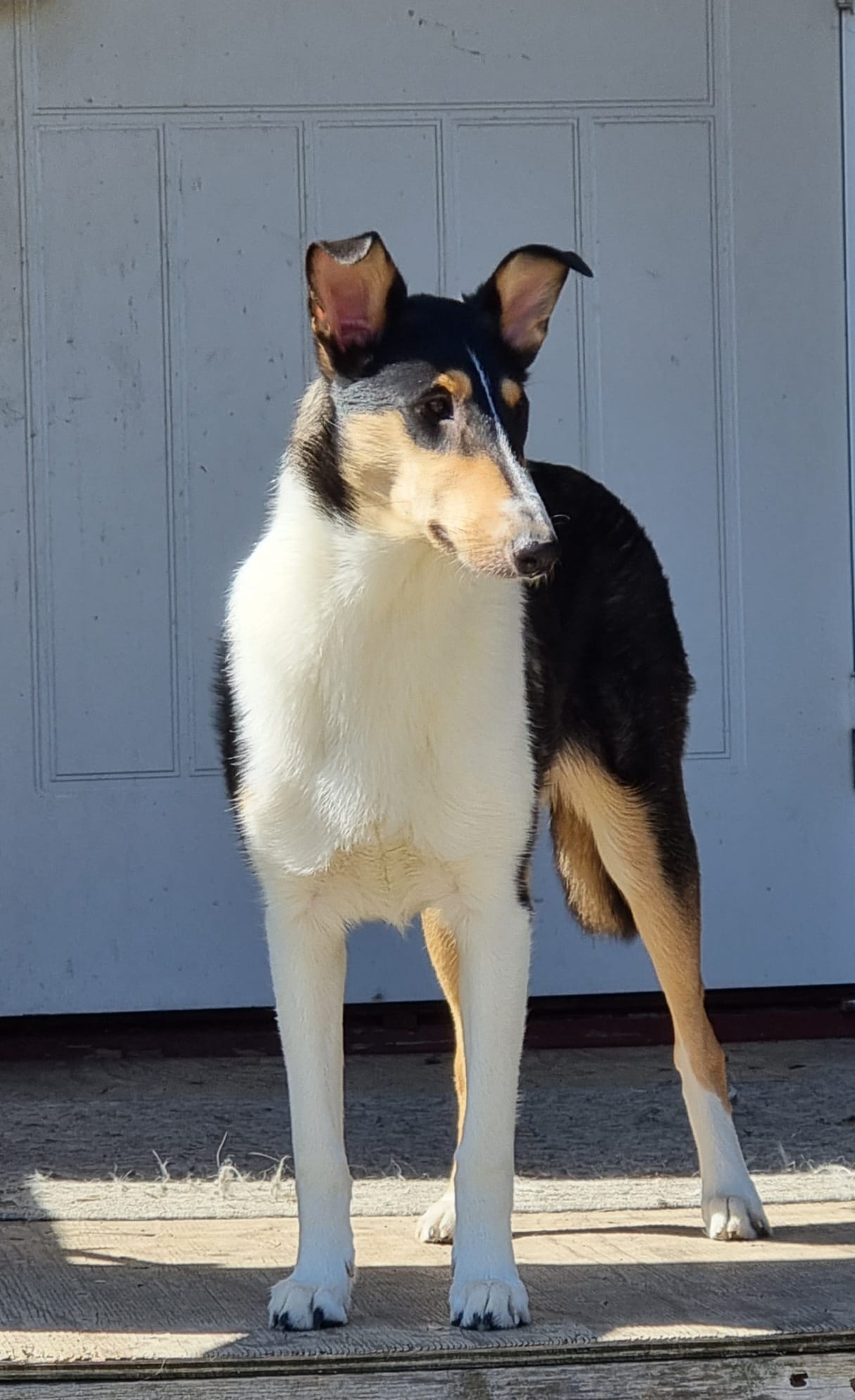 PHOTO 2026 03 16 00 04 39