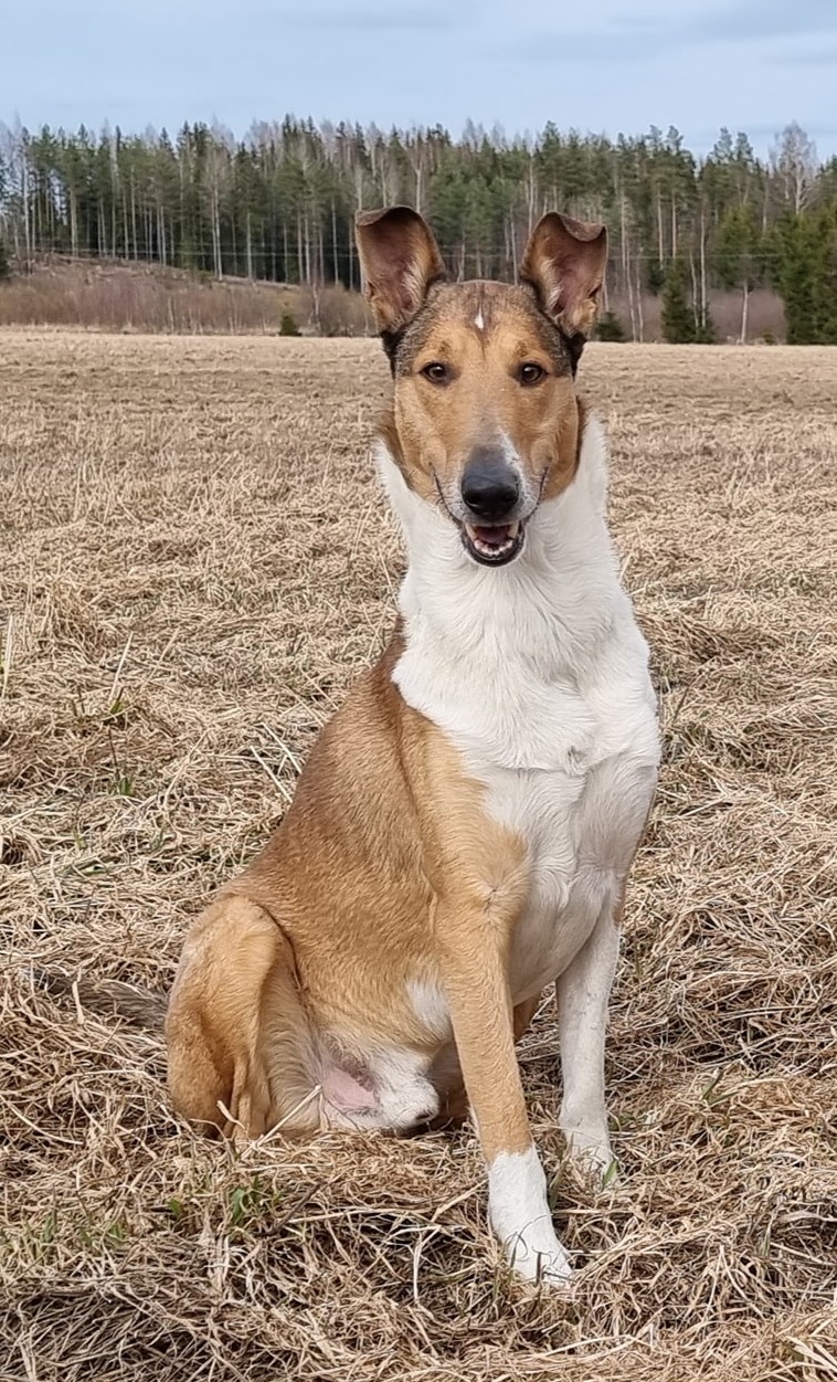 placeholder image sq