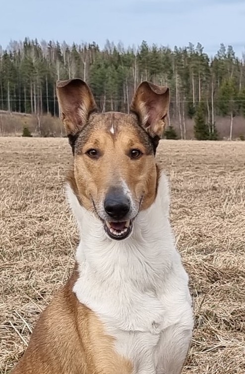 placeholder image sq