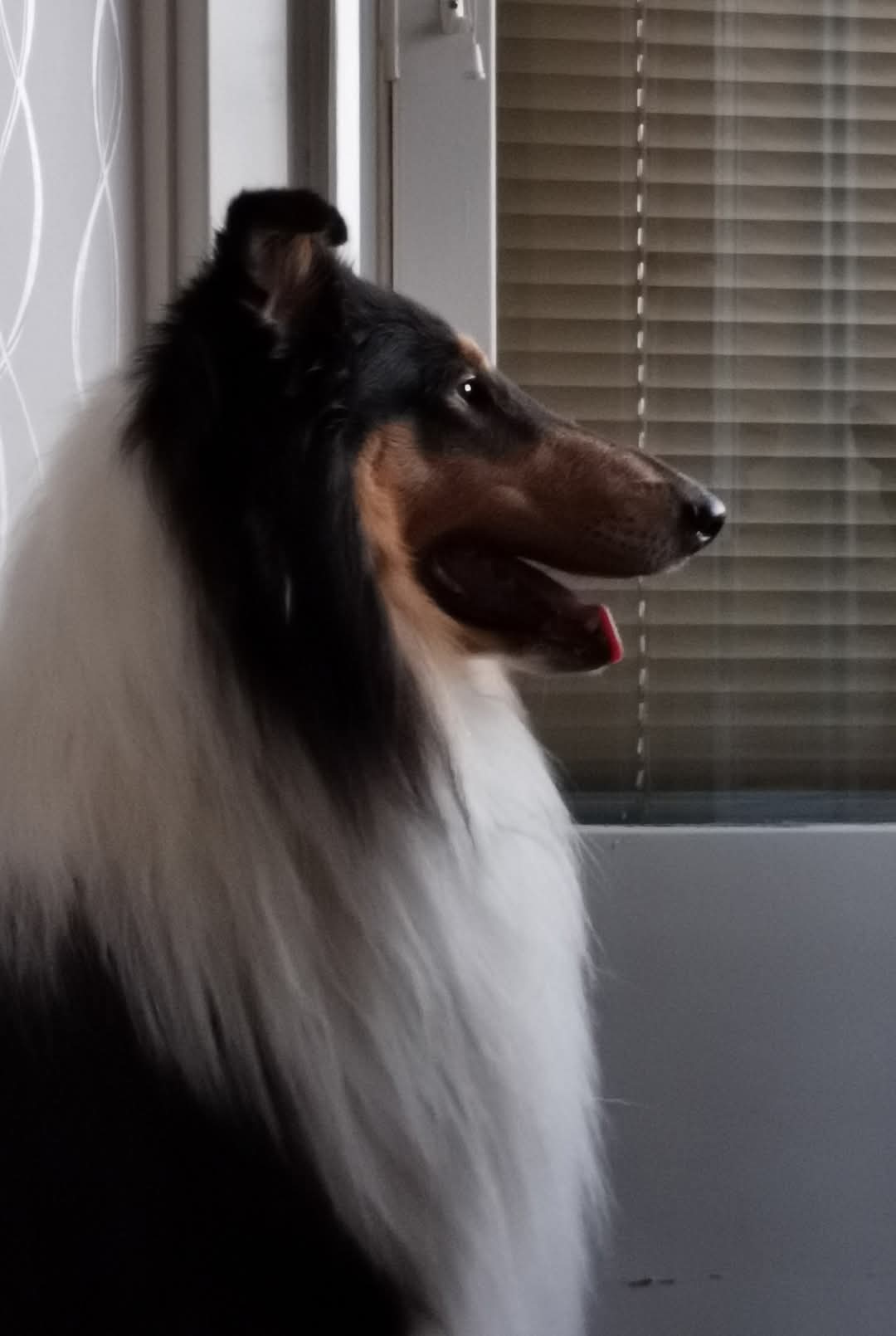 WhatsApp%20Image%202026 02 22%20at%2013.49.51%20%282%29.jpeg