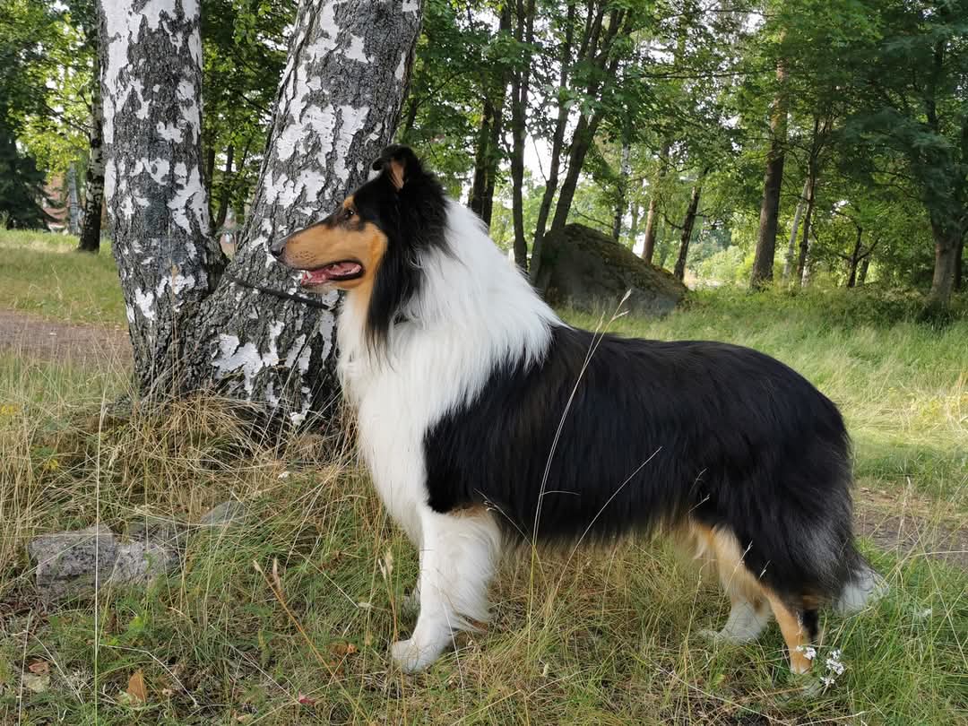 WhatsApp%20Image%202026 02 22%20at%2013.49.51%20%284%29.jpeg