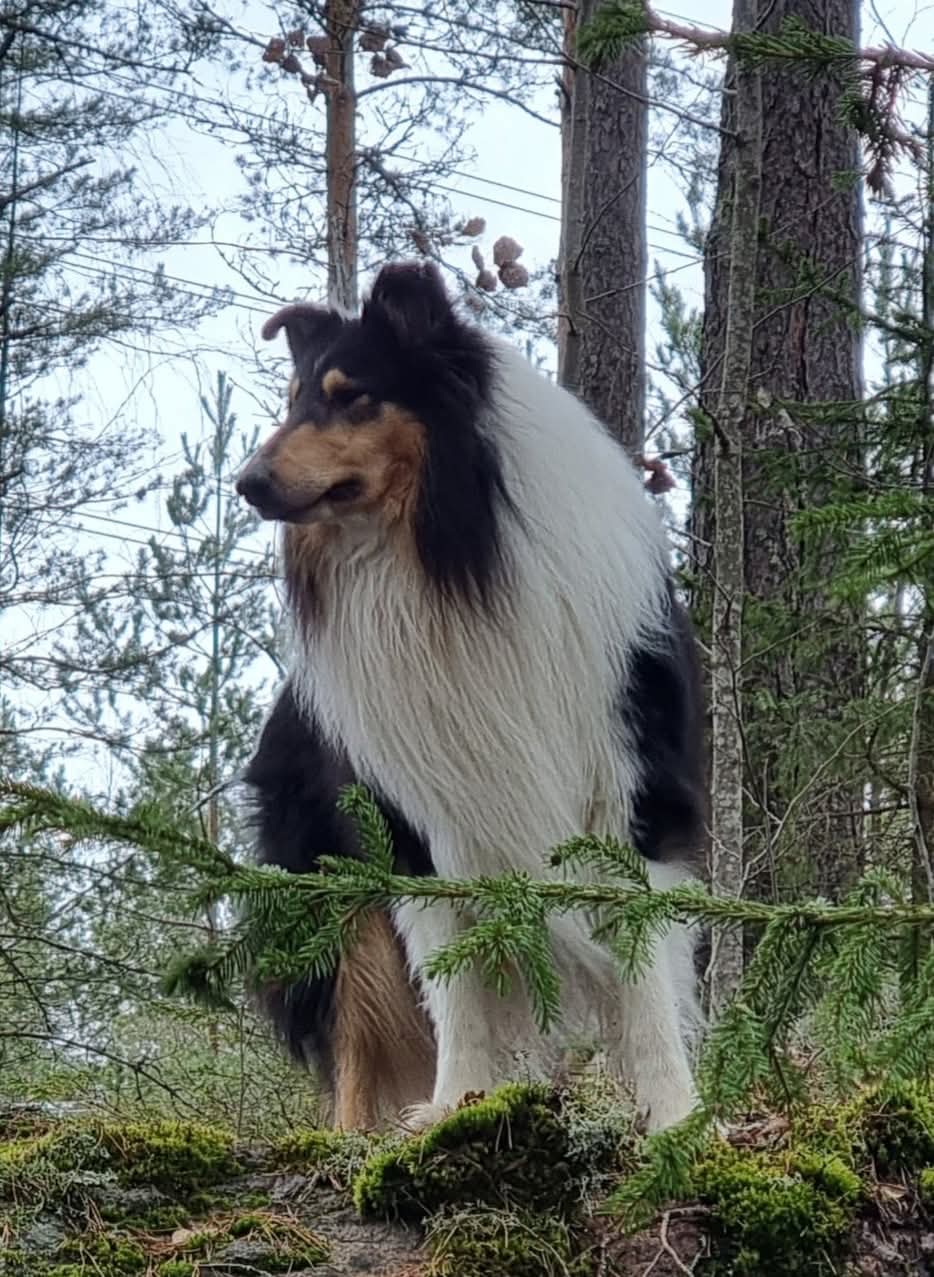 WhatsApp%20Image%202026 02 22%20at%2013.49.51%20%285%29.jpeg