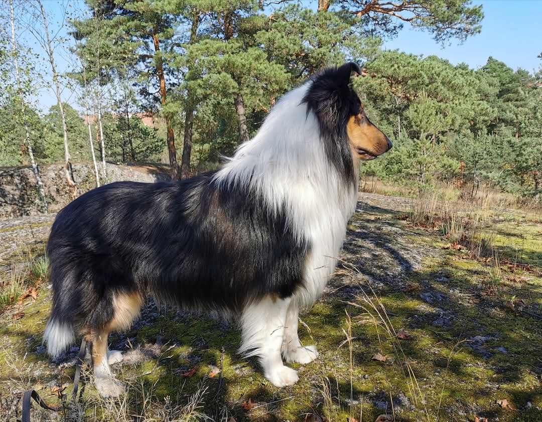 WhatsApp%20Image%202026 02 22%20at%2013.49.52.jpeg