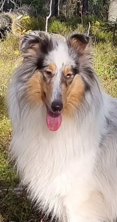 WhatsApp%20Image%202026 02 22%20at%2013.59.50%20%282%29.jpeg