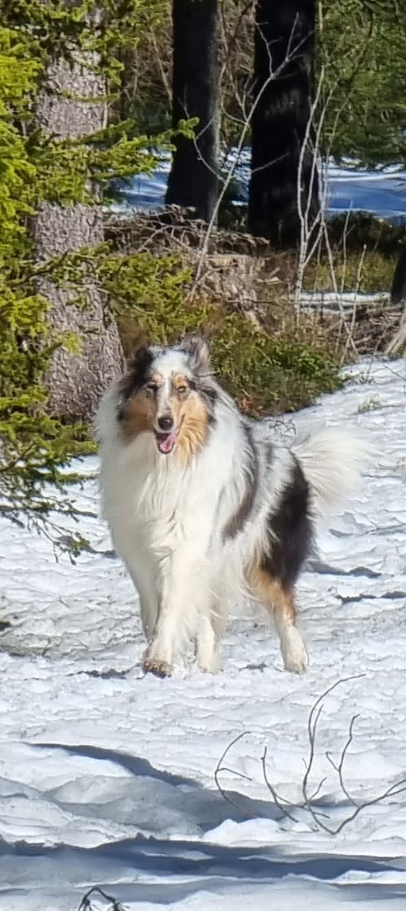 WhatsApp%20Image%202026 02 22%20at%2013.59.50%20%283%29.jpeg