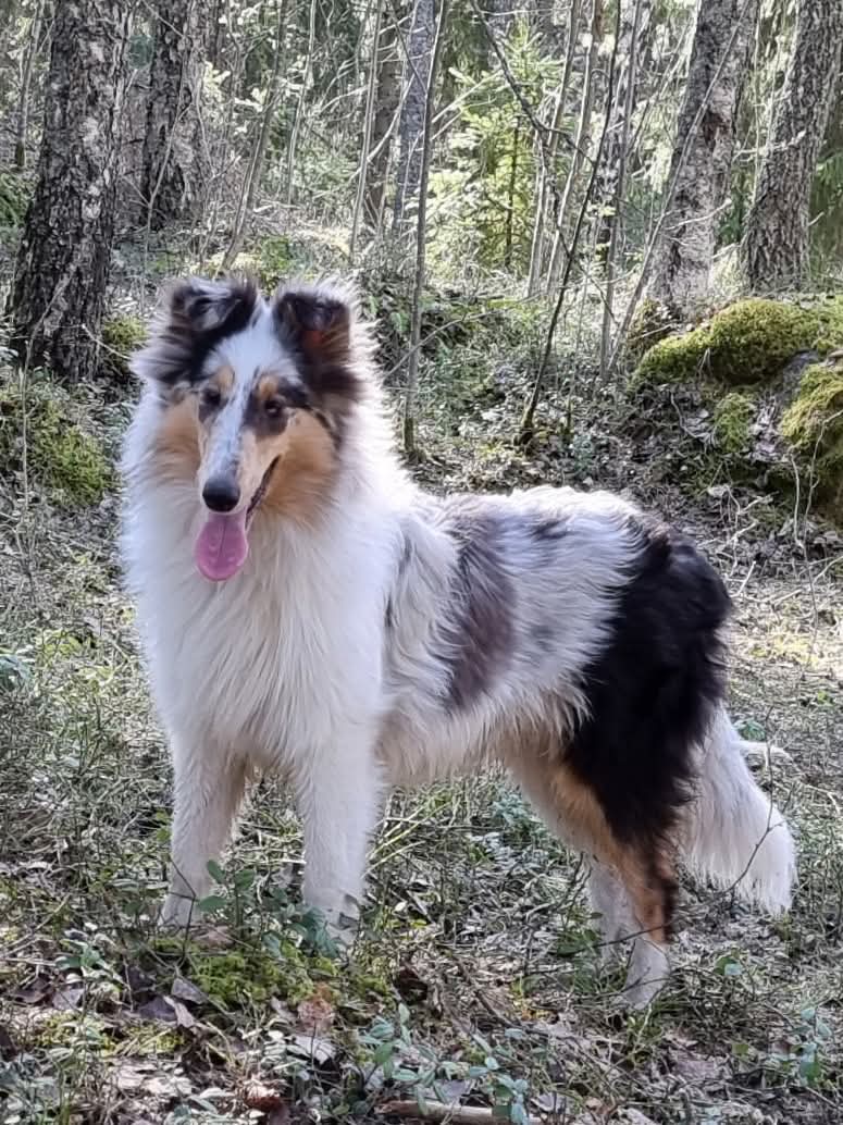 WhatsApp%20Image%202026 02 22%20at%2013.59.50%20%284%29.jpeg