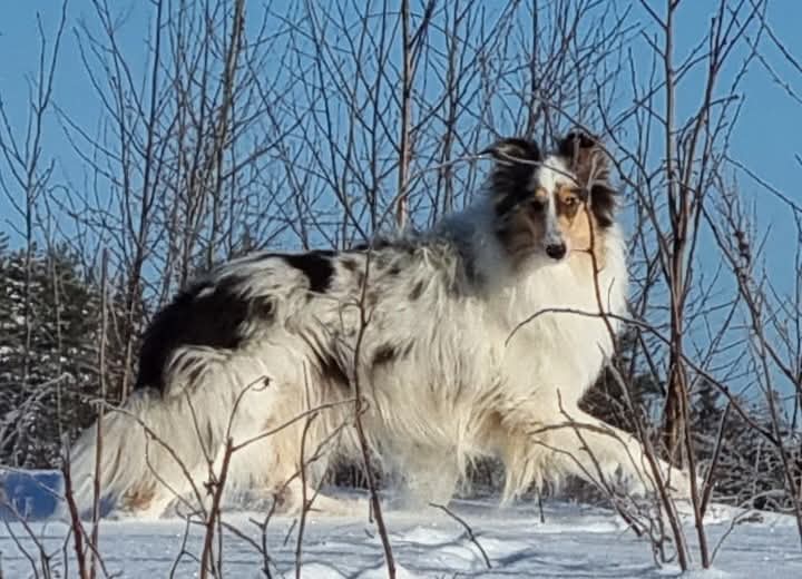 WhatsApp%20Image%202026 02 22%20at%2013.59.50%20%285%29.jpeg