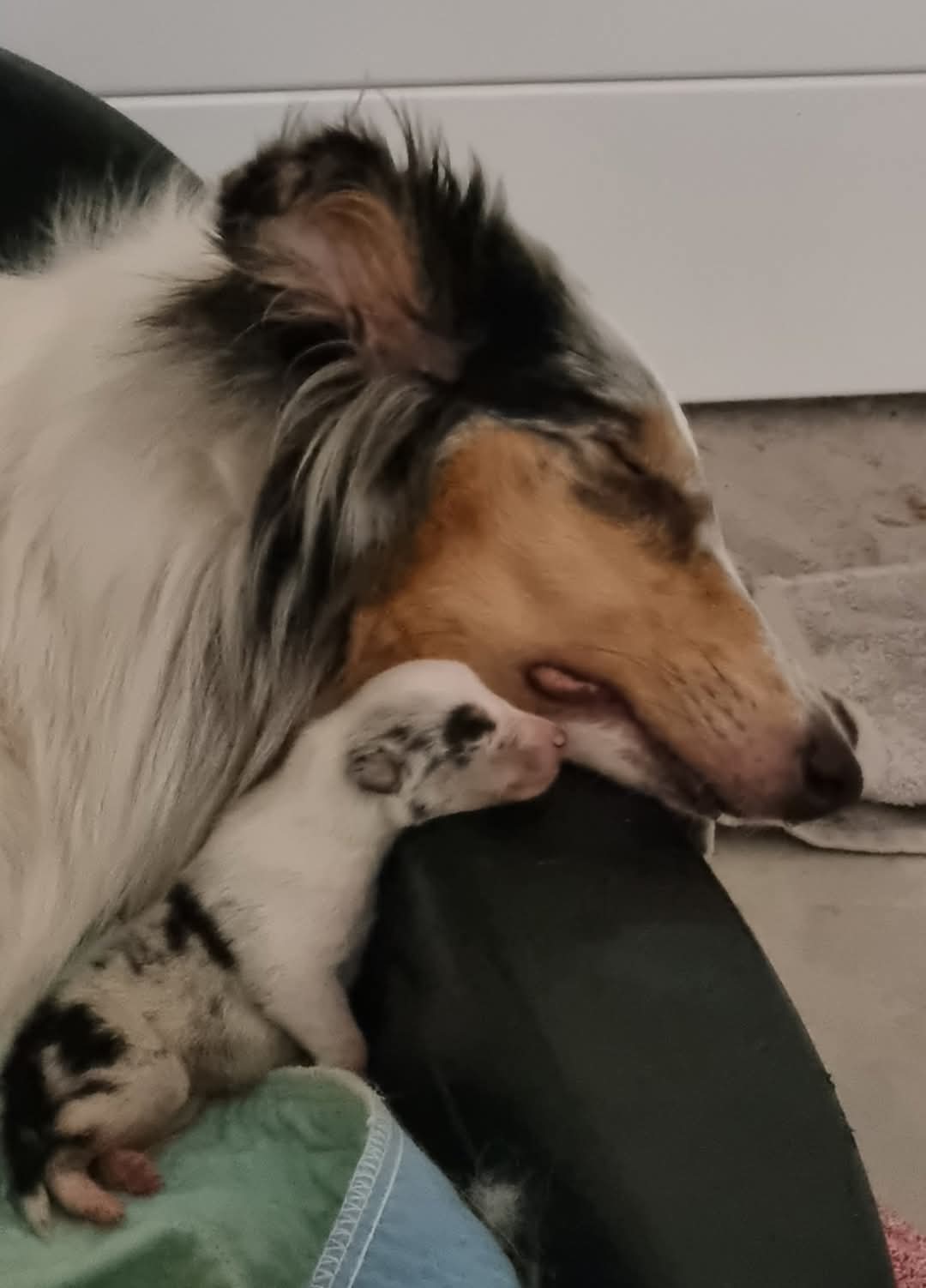 WhatsApp%20Image%202026 02 22%20at%2013.59.51.jpeg