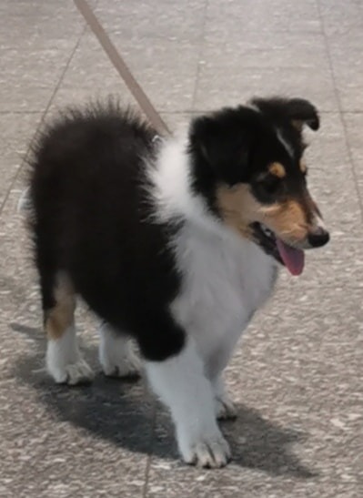 WhatsApp%20Image%202026 02 23%20at%2011.22.05%20%281%29.jpeg