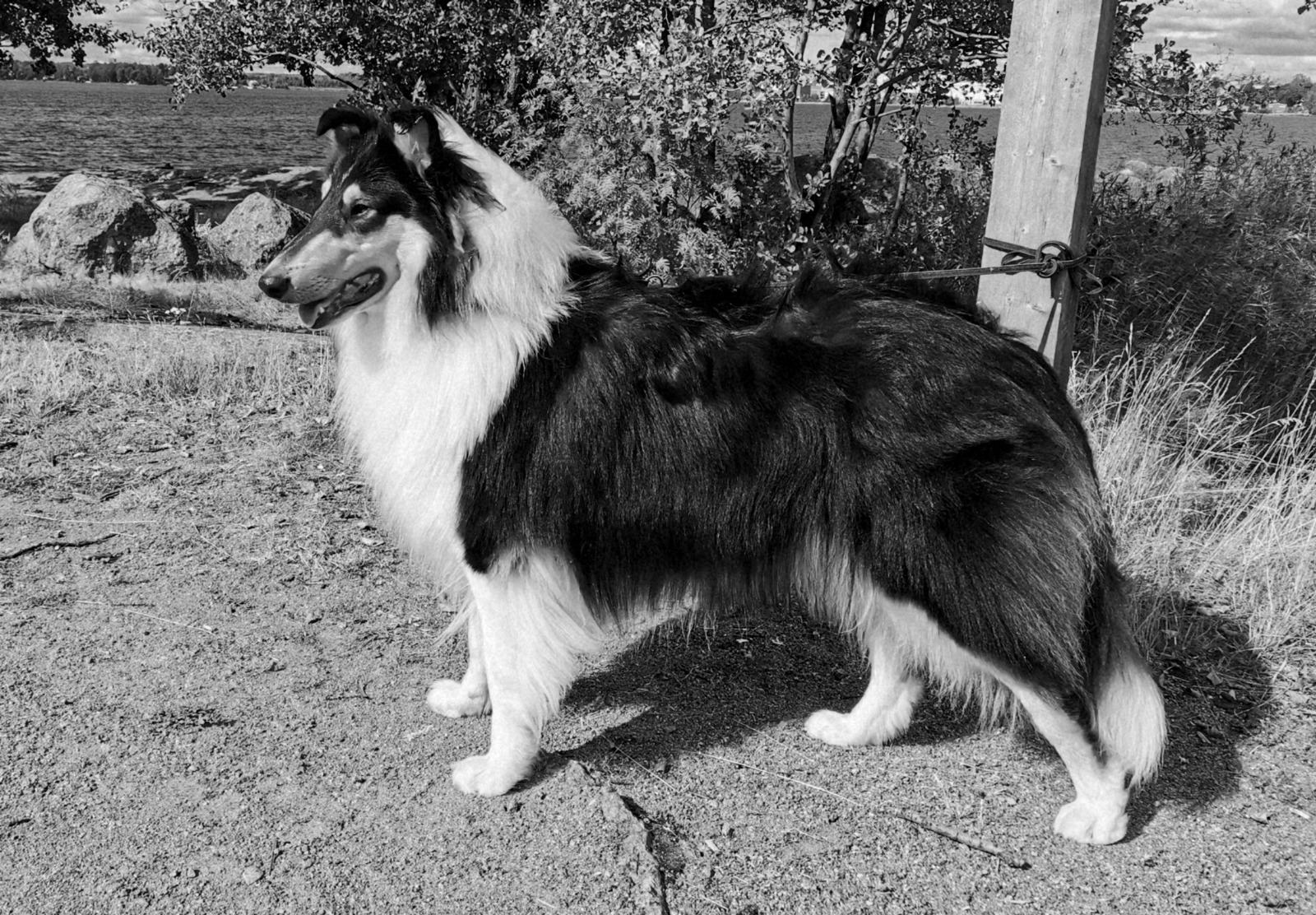 WhatsApp%20Image%202026 02 23%20at%2011.22.05.jpeg