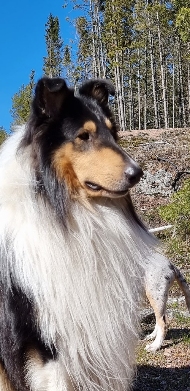 WhatsApp%20Image%202026 02 23%20at%2011.22.07%20%283%29.jpeg