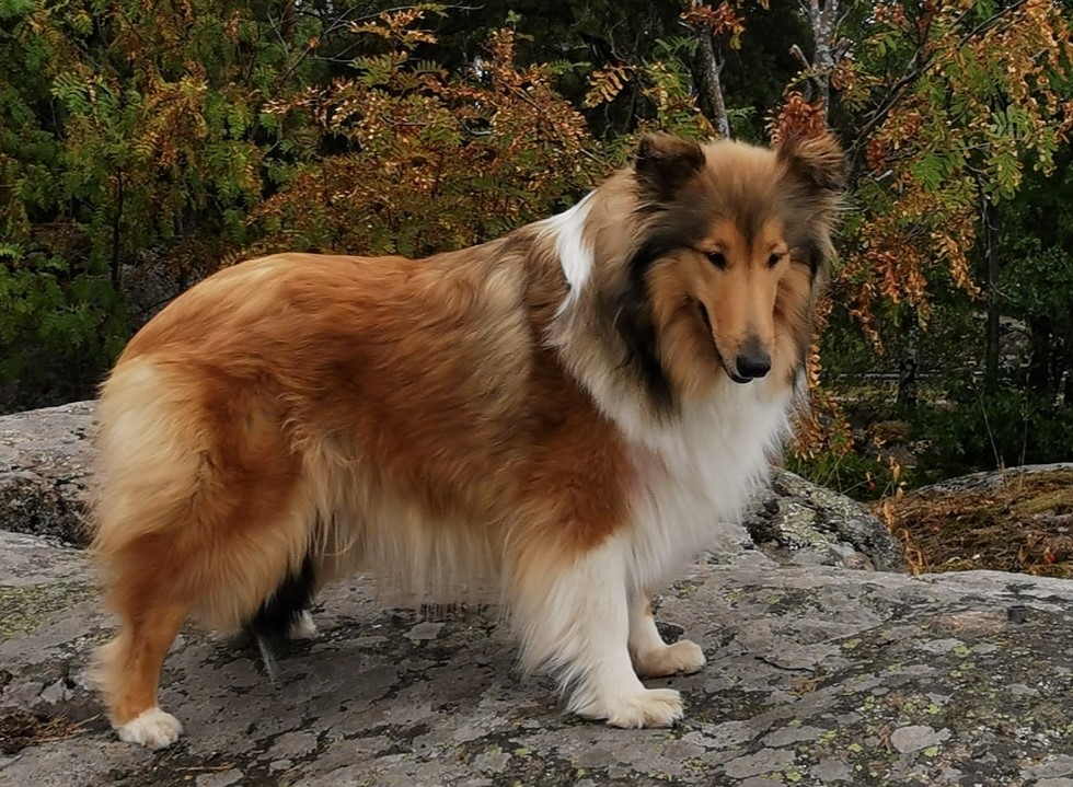 WhatsApp%20Image%202026 02 23%20at%2011.52.42.jpeg