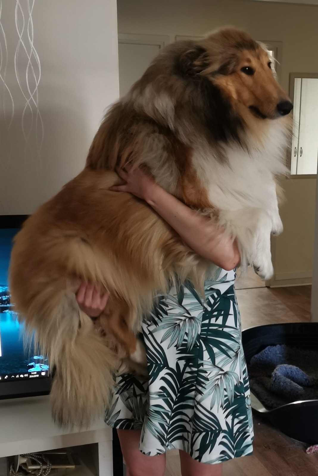 WhatsApp%20Image%202026 02 23%20at%2011.52.47.jpeg