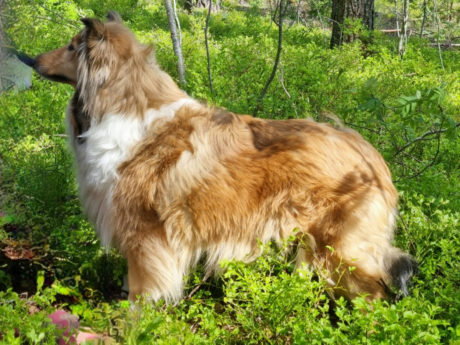 WhatsApp%20Image%202026 02 23%20at%2011.52.55.jpeg