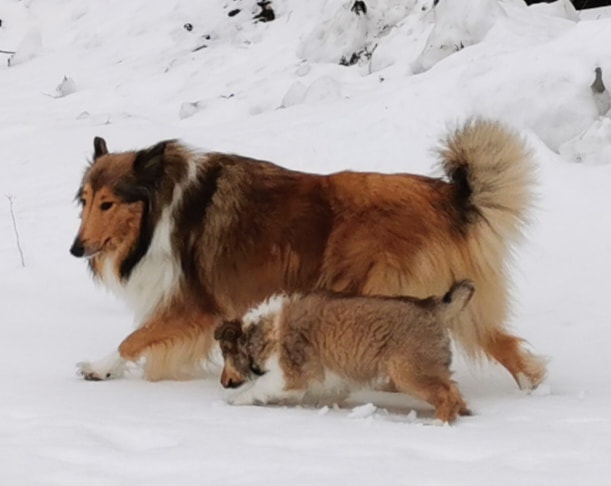 WhatsApp%20Image%202026 02 23%20at%2011.52.57%20%283%29.jpeg