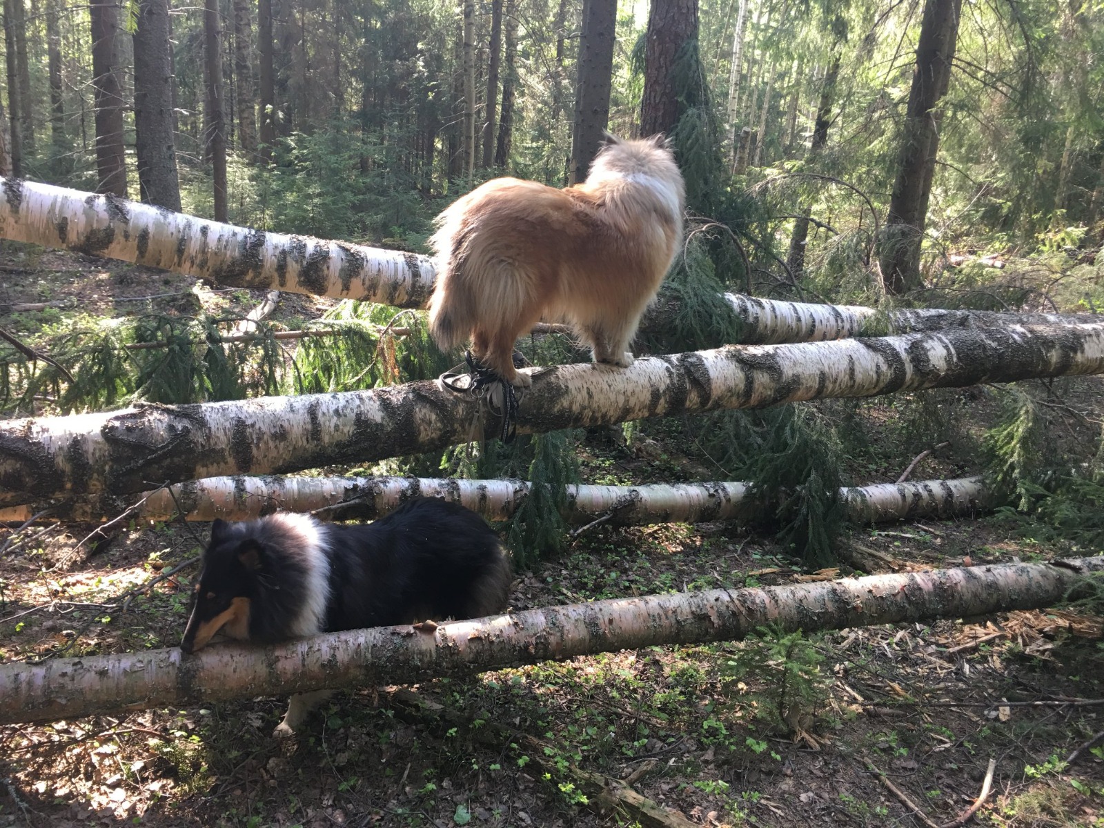 WhatsApp%20Image%202026 02 23%20at%2011.52.57.jpeg